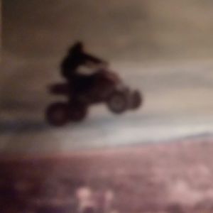 Meet your Posher, Perry